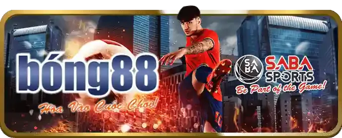 Đá gà trực tuyến kịch tính tại 8s chính thức